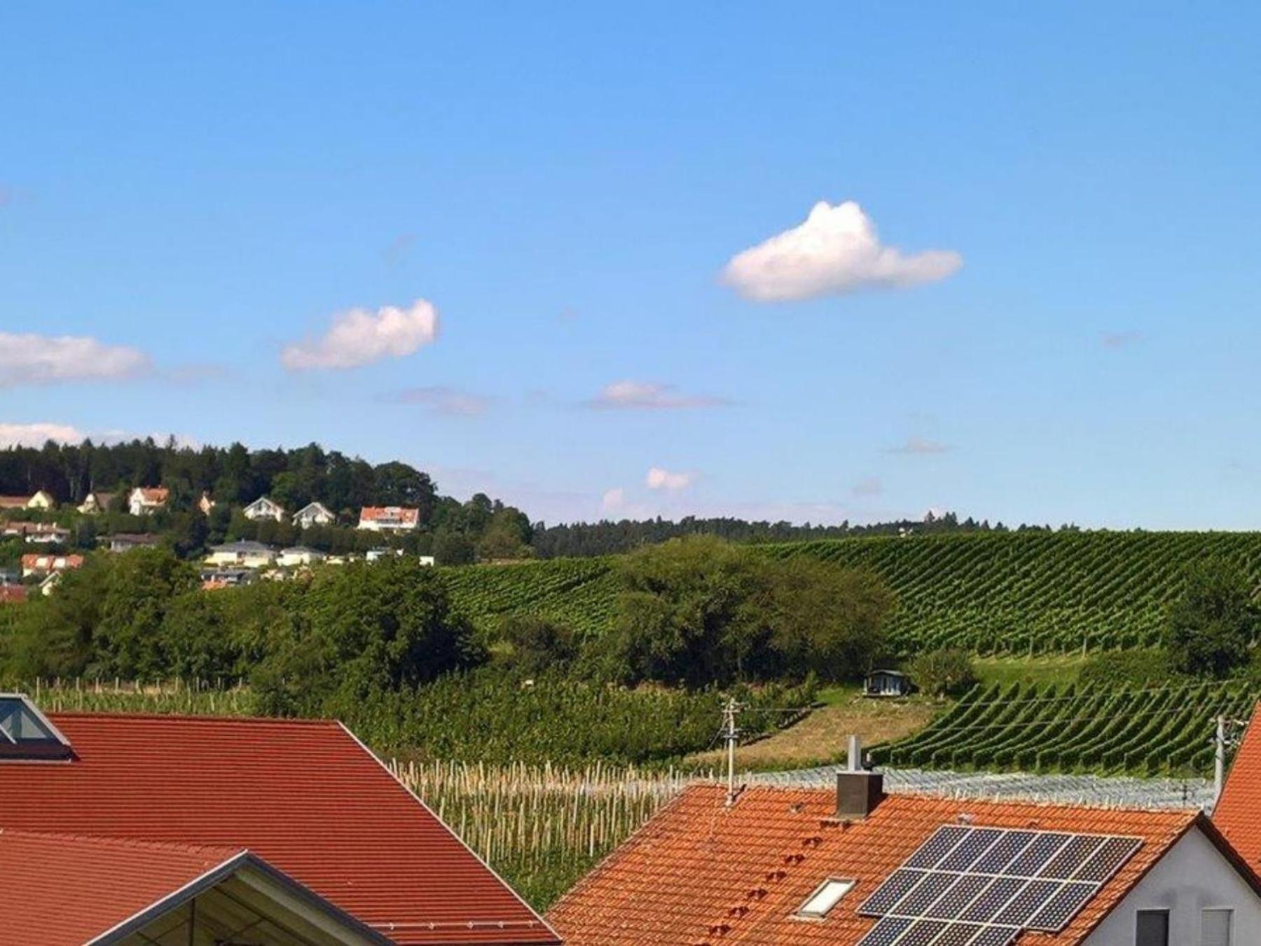 Ferienwohnung Niedan Kressbronn am Bodensee Exteriér fotografie